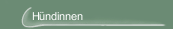 Hündinnen