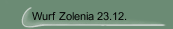 Wurf Zolenia 23.12.